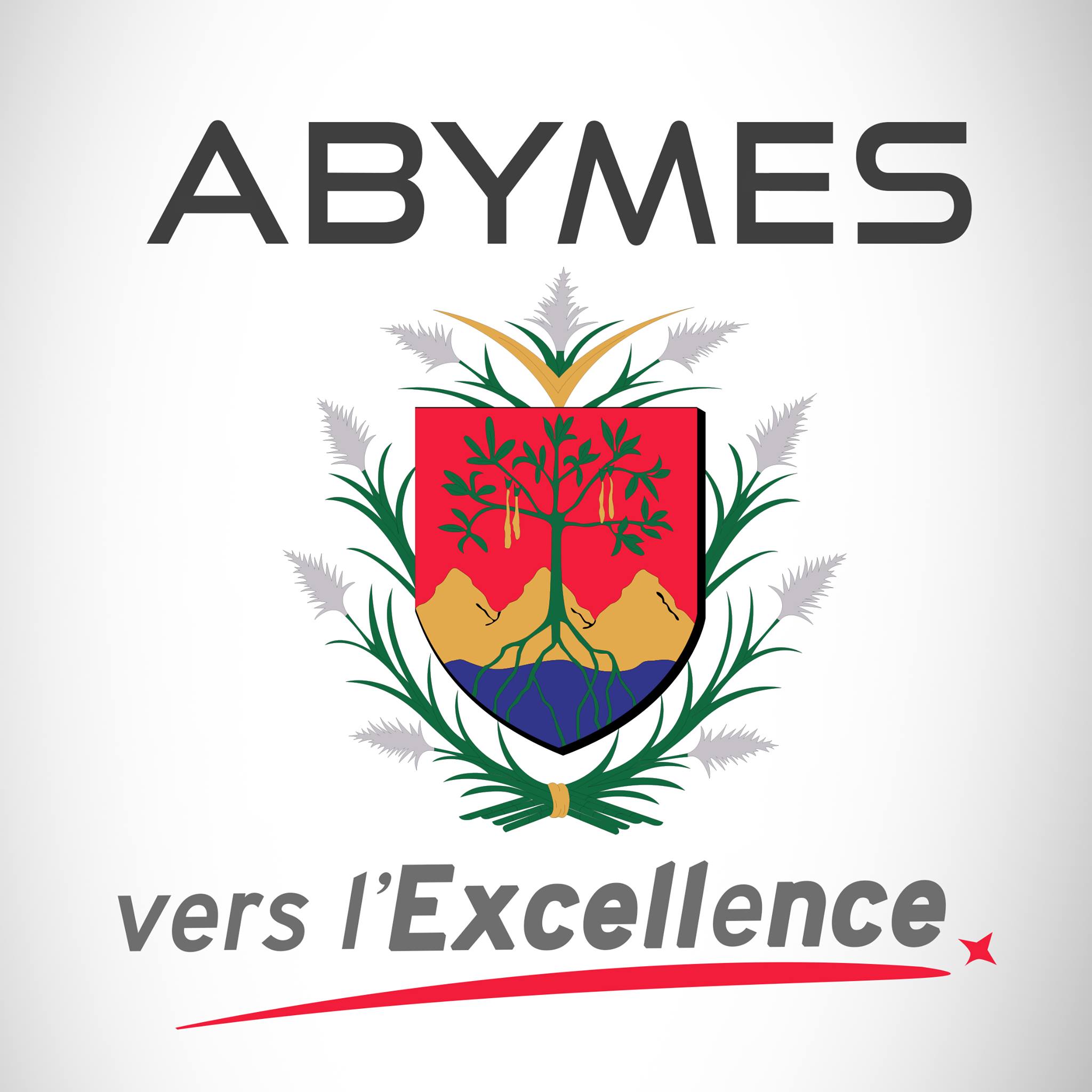 Ville des Abymes